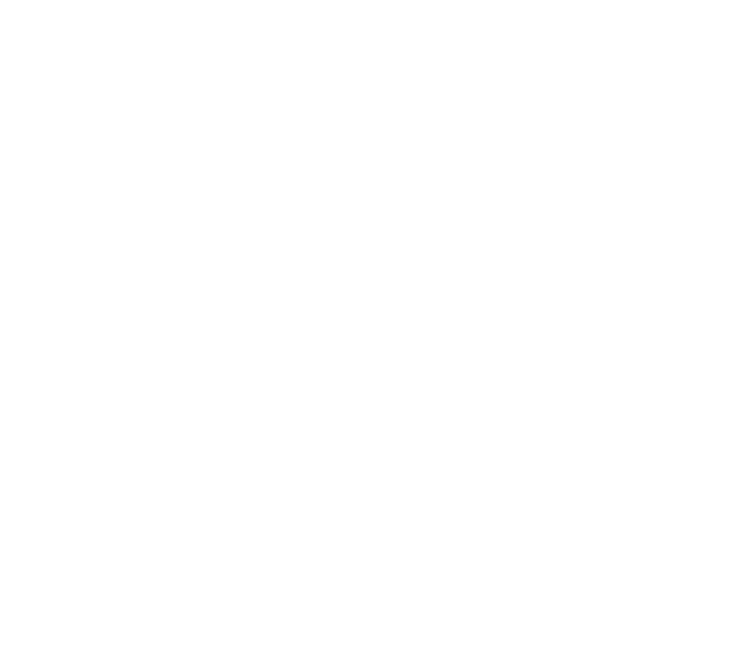 Wheel icon